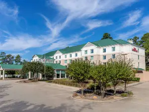 Hilton Garden Inn Houston/The Woodlands