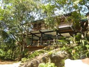 Birds Paradise Hotel