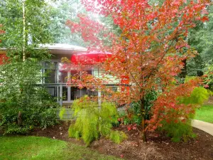 Dalrymples Guest Cottages