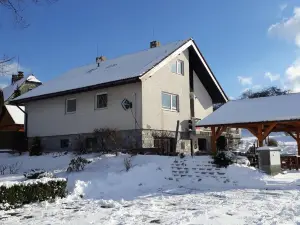 Penzion u Vichu