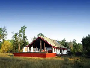 Monsoon Forest Bandhavgarh