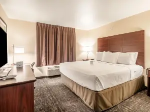 Cobblestone Hotel & Suites - Andrews