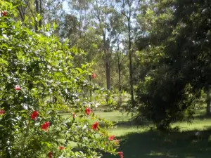 Wondai Hideaway Apartment