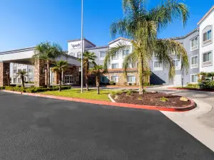 สปาร์ค โดย ฮิลตัน รีดแลนด์