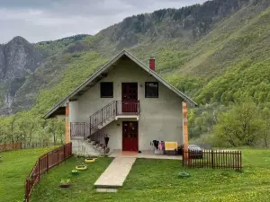 Family Owned Self Sufficient Eco Farm Tara