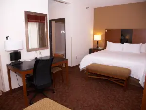 Hampton Inn & Suites Hobbs