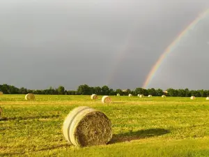 Le Stanze di Matilde