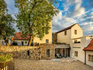 貝內紹夫貝爾維尤酒店