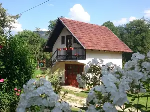 Apartman Ana