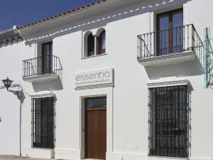 Hotel Galería Essentia