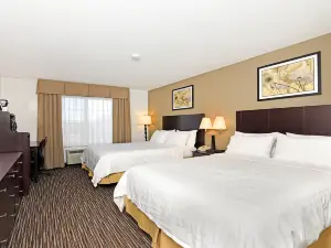 Holiday Inn Express & Suites Chicago-Deerfield/Lincolnshire