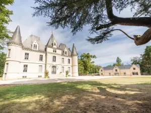Château de Baillant - Futuroscope