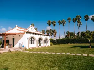 Palmares Housing