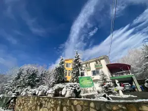 Pensiunea la Mesteceni -Zur Birke, Poiana Marului-Caras Severin