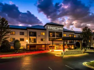Courtyard Charlotte Ballantyne