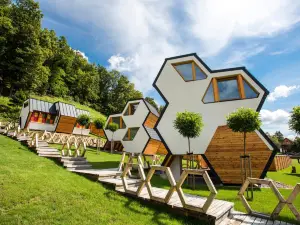 Apartments Beeland Skok