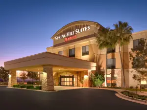 SpringHill Suites by Marriott Thatcher