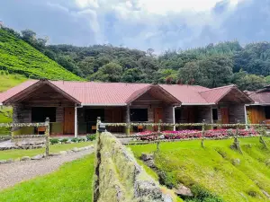 Tree Trek Boquete Adventure Park