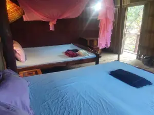 Tree Trails Homestay & Offers Jungle Trekk-Scooter for Rental