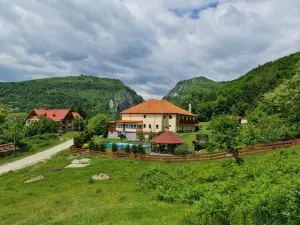 Pensiunea Castania - Pensiune cu Piscina la Munte