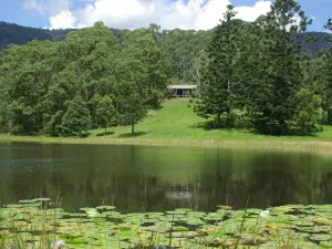 The Bushranger Hideaway