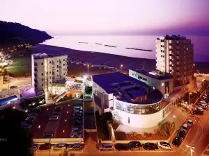 弗拉米尼亞海濱酒店