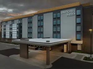 SpringHill Suites Lexington Fritz Farm