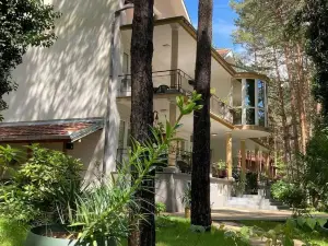Vila Dunavski Raj