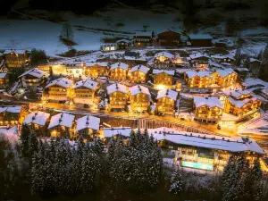 阿爾卑斯公園養生度假村瑞恩貝格