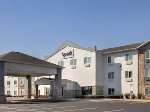 Spark by Hilton Ames