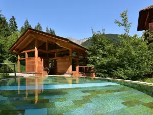 호텔 바드 스코르가우