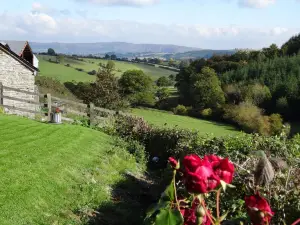 Middle Woodbatch B&B
