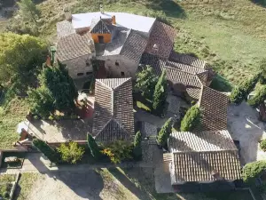 Fortaleza Medieval la Manyosa