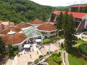 Hotel Radan Prolom Banja