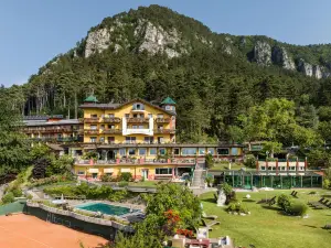 Alp Wellness Sport Hotel Panorama