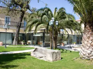 Regis Resort & Wellness