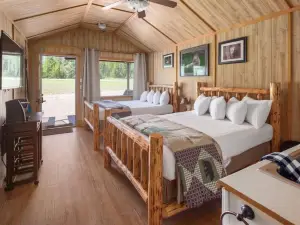 Sky Eco - Cabins & Studios