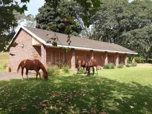 Chillifields Guesthouse