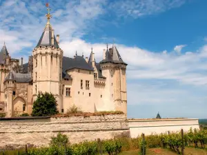 Hôtel Miléade le Domaine de la Blairie - Saumur