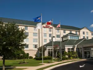 Hilton Garden Inn Austin NW/Arboretum