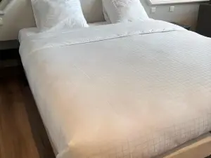 Hotel la Pomme d'Or