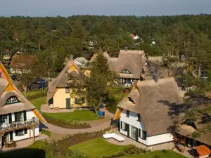 เฟอร์รีเอนโฮเฟิน ดูเนนเมียร์