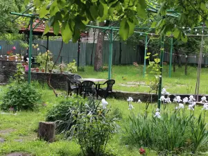 Guesthouse Evergreen