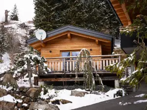 Hotel Alpengasthof Hochegger