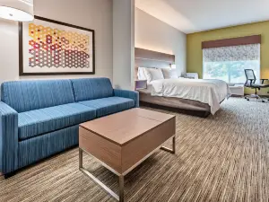 Holiday Inn Express & Suites Lake Zurich-Barrington