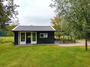 B&B Stripsein