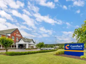 漢普頓體育場附近舒適套房酒店