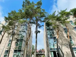 巴尔提克杜恩斯大酒店(Grand Baltic Dunes)