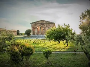 Antica Conca d'Oro