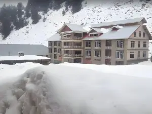 Nine Tree Hotel Naran